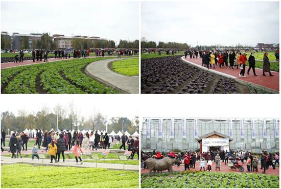 �ذ������ߌóɶ��N�I(y��)���[��(hu��)���n11��18��