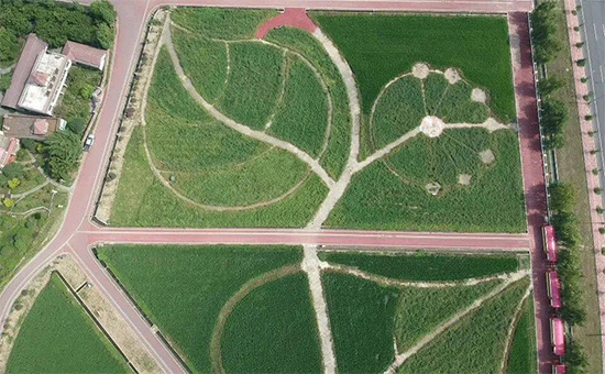 �ذ������ߌóɶ��N�I(y��)���[��(hu��)���n11��18��