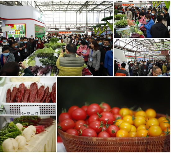 �ذ������ߌóɶ��N�I(y��)���[��(hu��)���n11��18��