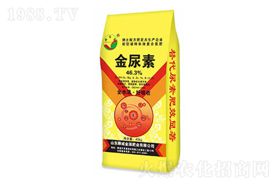 ���؃r���ϝq��2022.3.11���؃r������һ�[