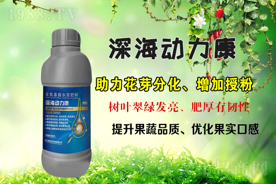 ���r���Wϲӭ�������������r�����s���v1988.TV��