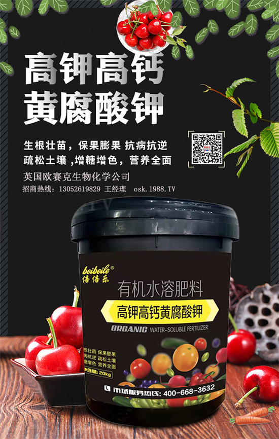 һ���S�����=�����������������ЙC(j��)�����S����⛞��������棿