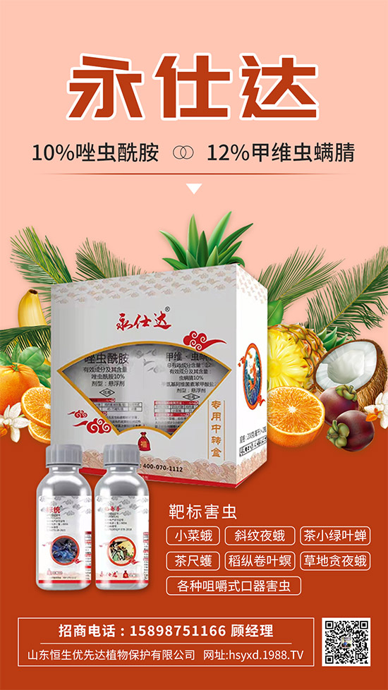 С�˶��η����y��С�˶�Σ���Y����δ�ʩ��