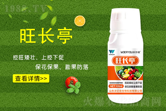 什么是黃瓜旺長(zhǎng)?黃瓜旺長(zhǎng)的防控措施