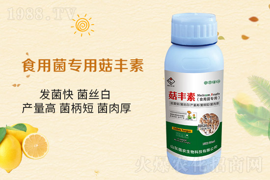 平菇栽培要點，需要注意哪些事項？