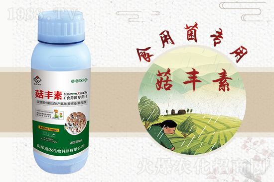 平菇栽培要點，需要注意哪些事項？