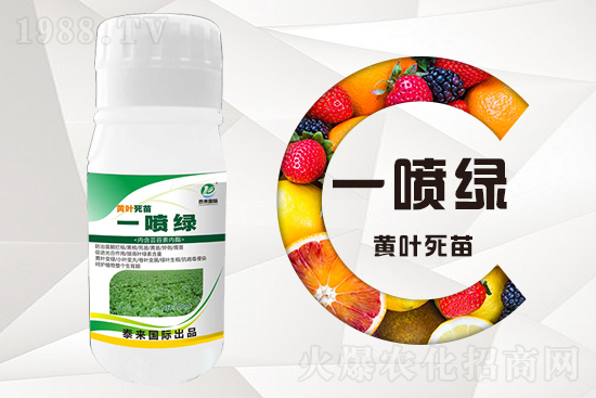 �����߲������ʲô������������ô��Q��