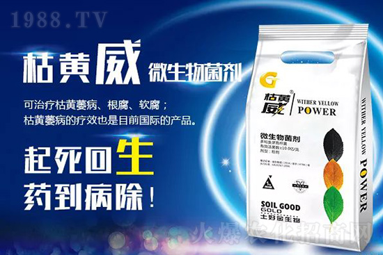 枯黃萎、立枯等病害怎樣滅殺？用它就夠了！