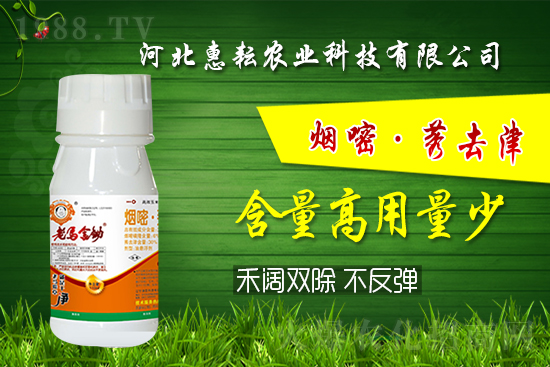 封殺雙效！禾闊通除！玉米田除草記住這個配方就夠了! 