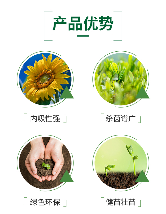 加號農業(yè)872980_04