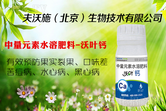 �����ѹ���ô�k���a�}���P�I! �@�������p�ɽ�Q��