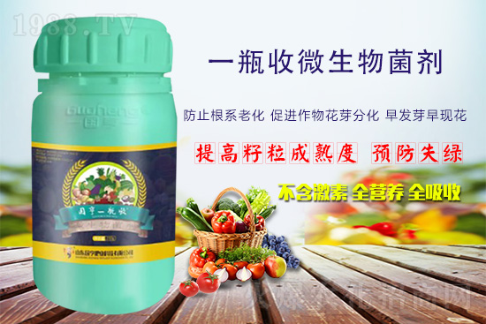 火爆農(nóng)化網(wǎng)喜迎新盟友,攜手國(guó)亨肥業(yè)共走財(cái)富之路!