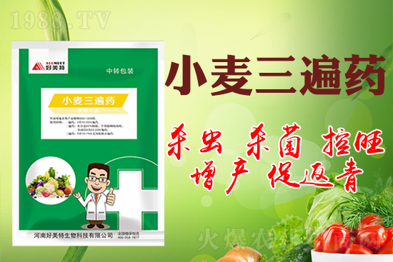 小麥巧打三遍藥抗病增產(chǎn)有奇效!小麥三遍藥什么時候打?