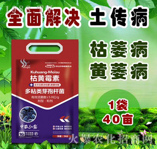     ��(x��)���Բ�������Щ������ˎ����ô�x��һƪ�����f����