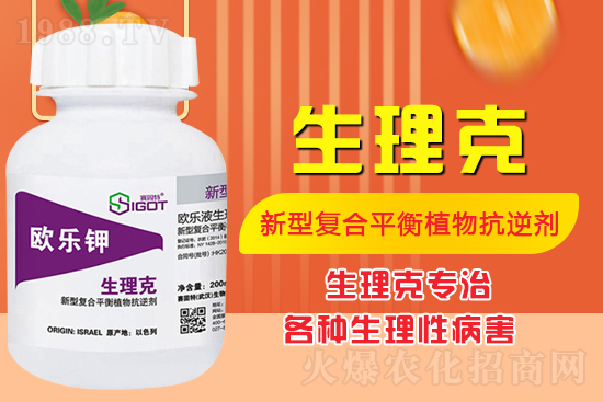 ����Ě������ʲô�Y���ô��Q����Ě������