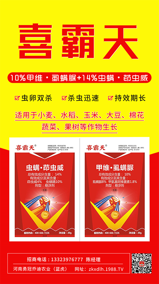 С�˶��������xΣ����̫�y���@����ˎ��һ��һ����(zh��n)!