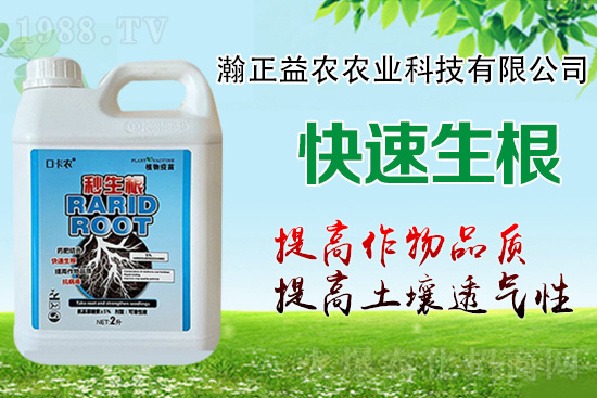 作物根系決定作物產(chǎn)量!這樣做,根系發(fā)達(dá),白根多,用肥少!