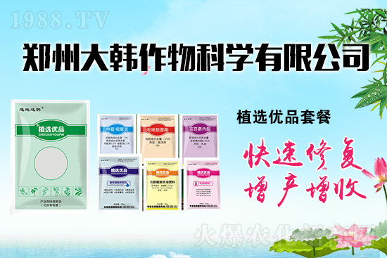 作物藥害肥害頻發(fā)怎么辦？發(fā)生藥害肥害如何補(bǔ)救？