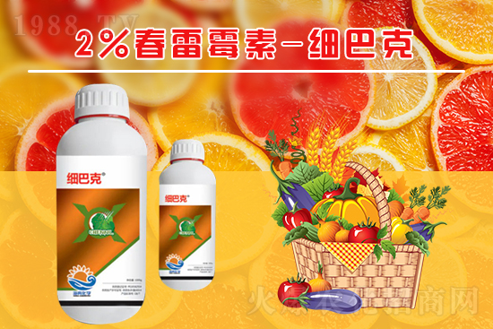 番茄潰瘍病怎么辦？聽聽專家怎么說！