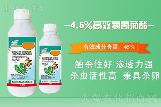 �ײ˲����x��ʲôΣ�����ײ˲����x����