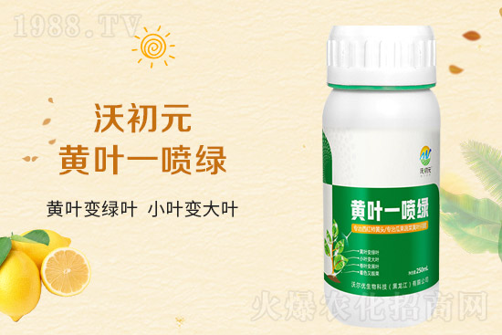 �����~Ƭ��ʲô�l(f��)�S��