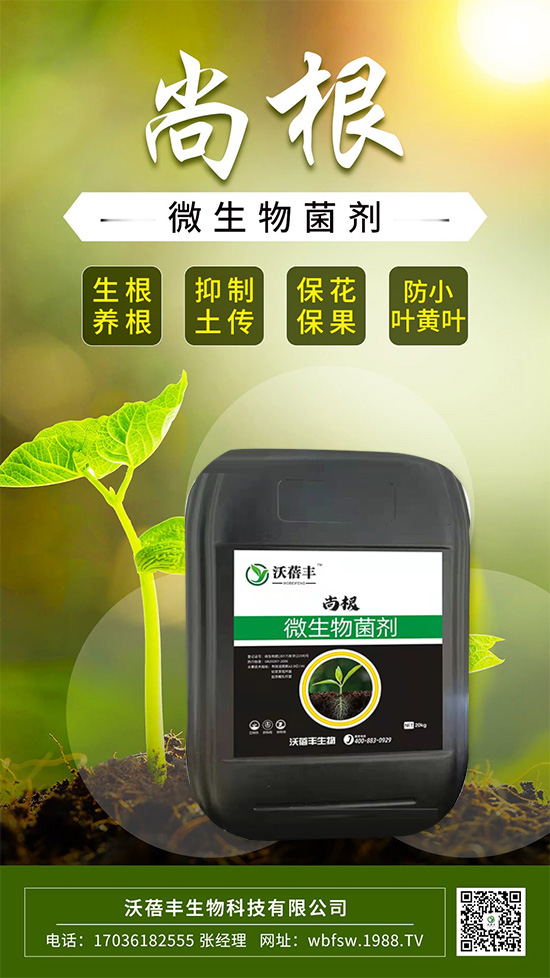 怎么才能讓作物生根壯根呢？這樣做讓作物生根到底！