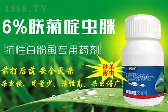 ϲ����1988.TVϲӭ���������̎��r(n��ng)�I(y��)���݁��u��