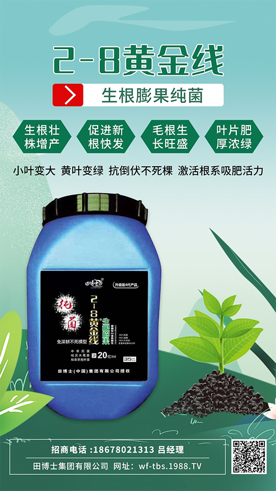 ���Ƿʵ��죬�f�����L����ϵ�����ﱬ�l(f��)����ԇԇ�@һ��! 