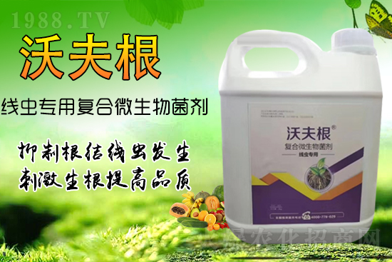 ���Y(ji��)���x��Ⱦ������������������������Ч����!