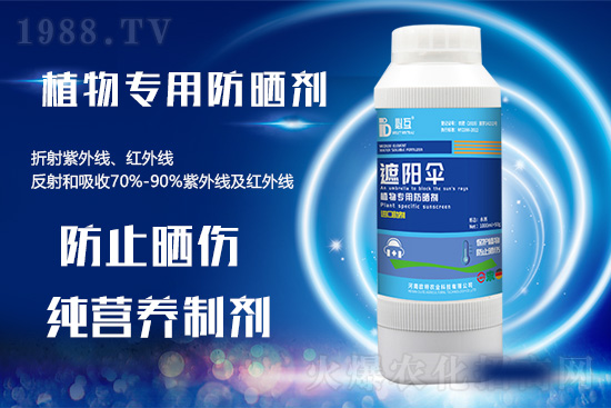 �ߜ������u������������E�[���쿴�������ˆ�? 