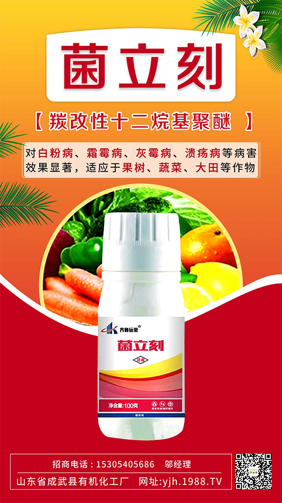 ����˪ù��߀�ǰ׷۲����e��ɵɵ�ֲ����ˣ���ηֱ漰������