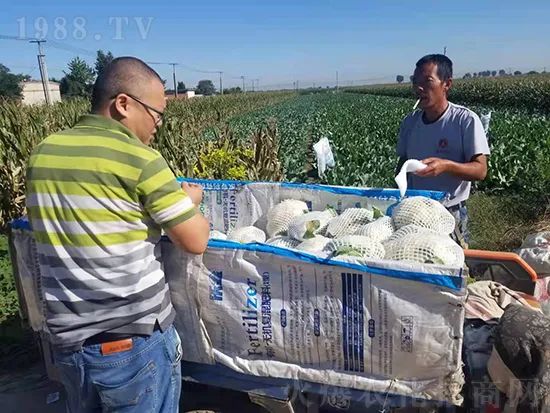     這款糖蜜肥農資圈瘋傳！原料天然，低成本高肥效開創(chuàng)者！