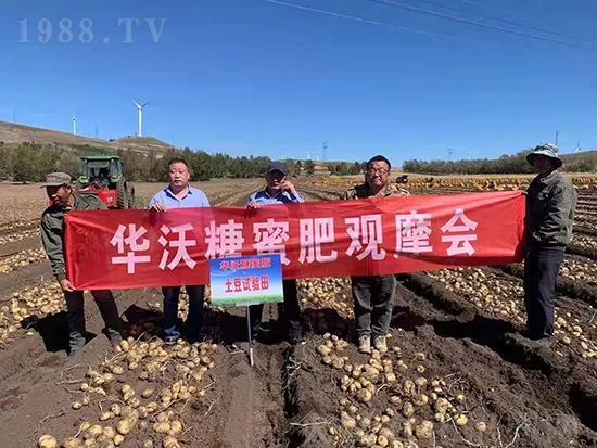     這款糖蜜肥農資圈瘋傳！原料天然，低成本高肥效開創(chuàng)者！