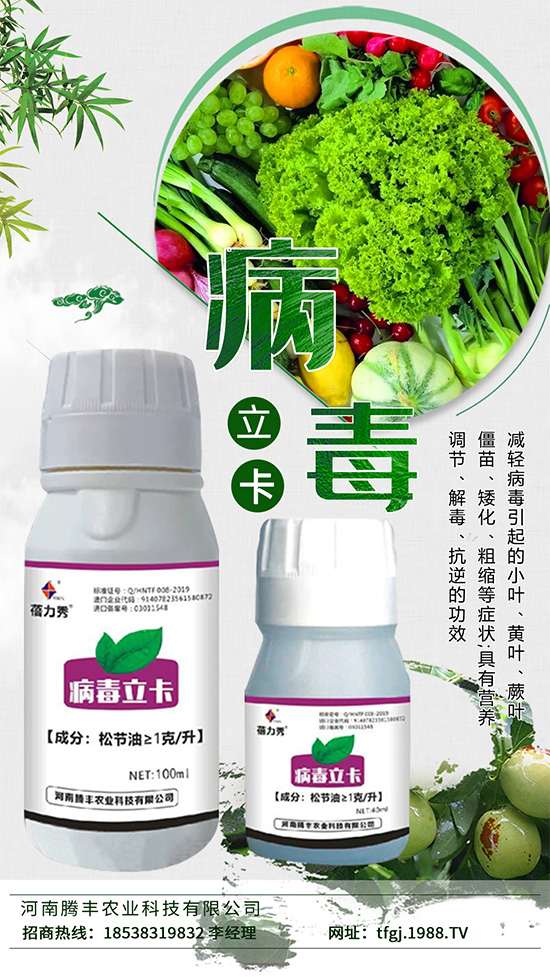 病毒病一種是由植物病毒寄生引起的病害。種類少、危害大,易得難治。在侵染蔬菜植株后會與蔬菜爭奪生長必需的養(yǎng)分,同時會影響植株的養(yǎng)分傳輸,抑制光合作用的進行