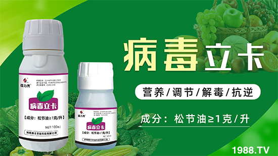 破解植物病毒防治難題!快速恢復(fù)生機!這個藥打上就管用!