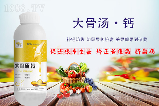 �������r(n��ng)�I(y��)�Ƽ����޹�˾