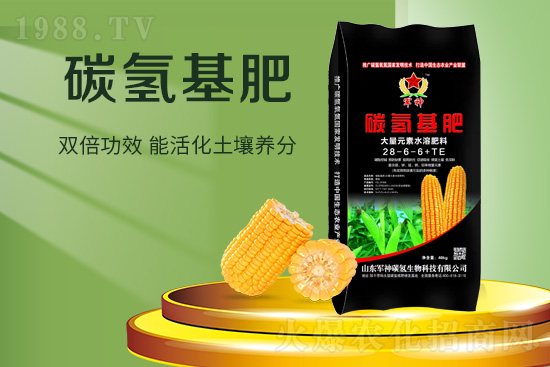 ɽ�|܊��̼?x��)�����Ƽ����޹��?8