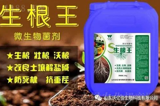 作物重茬、爛根死棵嚴重啥原因？如何改善這些難題？