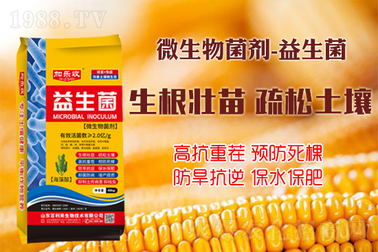作物如何生根壯根、長勢更茂盛？學會這些事半功倍！