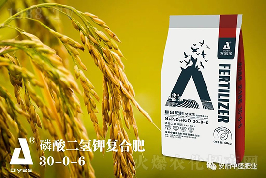 水稻分蘗不好對產(chǎn)量有多大影響？促進水稻分蘗怎么做？