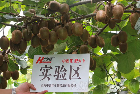 �J����������c(di��n)����Щ���J����������ôʩ