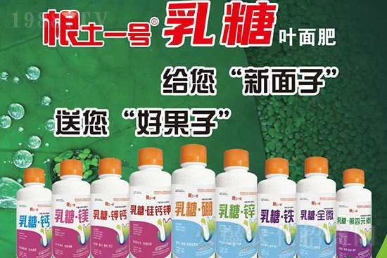 �J����������c(di��n)����Щ���J����������ôʩ