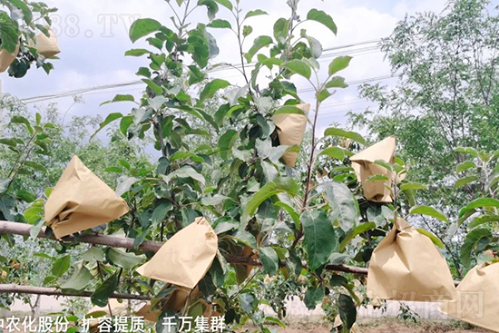     �����״���ɜp���r(n��ng)ˎ���������ƹ��ӵ����^Ʒ�|(zh��)���ɴ����߹�Ʒ�u�࣬�����׳��۲��u���߃r�����Թ����״�Ŀǰ��Ȼ���҇����@����Ҫ�����������״��O��������Ǻ���Ҳ�ٲ�����