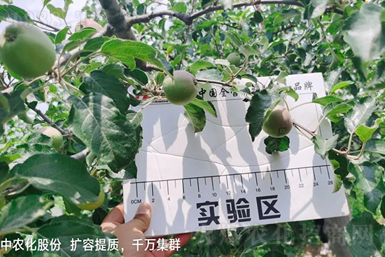     �����״���ɜp���r(n��ng)ˎ���������ƹ��ӵ����^Ʒ�|(zh��)���ɴ����߹�Ʒ�u���������׳��۲��u���߃r�����Թ����״�Ŀǰ��Ȼ���҇����@����Ҫ�����������״��O��������Ǻ���Ҳ�ٲ�����