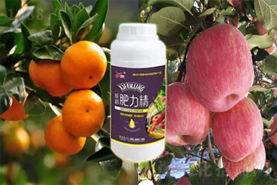 ����׷�ʏ�(f��)�Ϸʺ�߀�����غ����ܶ��˶��e�������������_�x��