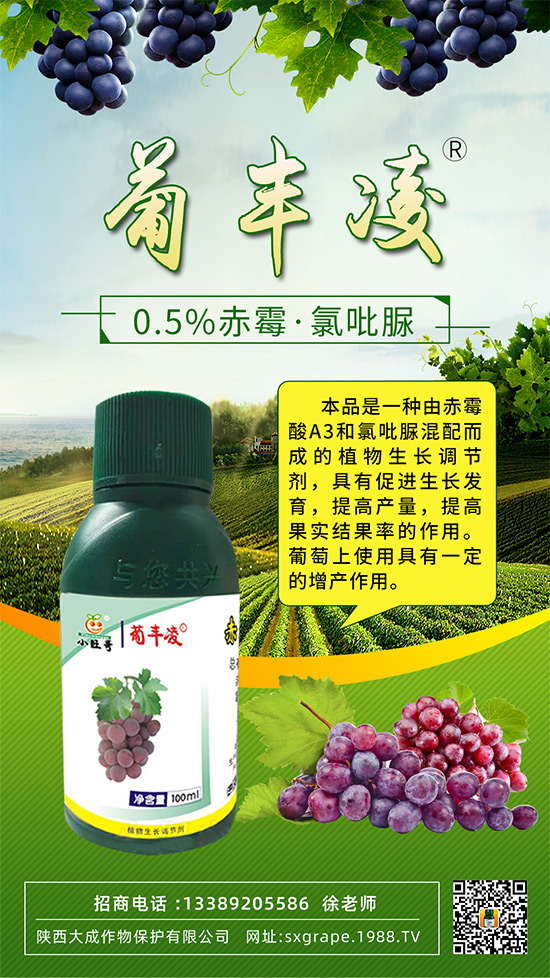 ���ѹ���ϡ�裬��С����(y��n)����ô�k���@Щ�����ஔ(d��ng)��Ҫ