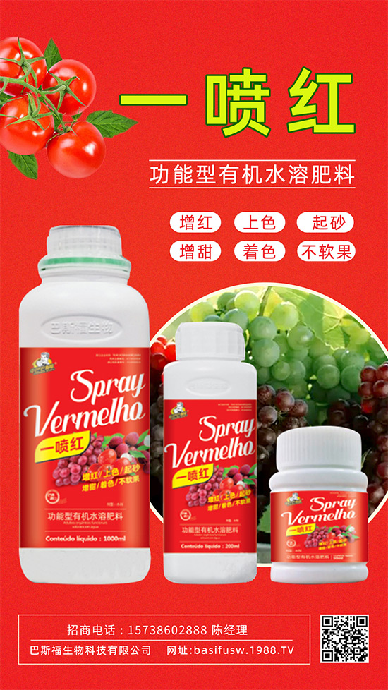 �����Dɫ����������������������u�r������ǰ���У�