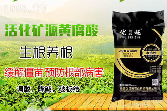 礦源黃腐酸鉀你了解多少？礦源黃腐酸鉀遇見微生物菌劑有啥奇妙反應(yīng)？