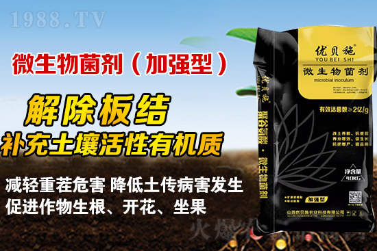 礦源黃腐酸鉀你了解多少？礦源黃腐酸鉀遇見微生物菌劑有啥奇妙反應(yīng)？