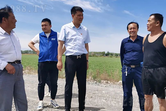 中農(nóng)化新疆北疆辦事處負(fù)責(zé)人:同路同行共發(fā)展